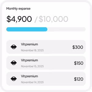 Shore Wallet app interface preview
