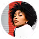 Shore Wallet community member avatar